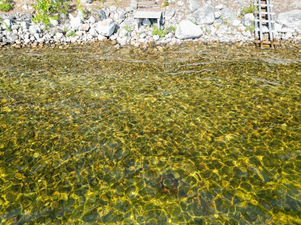 Picture 8