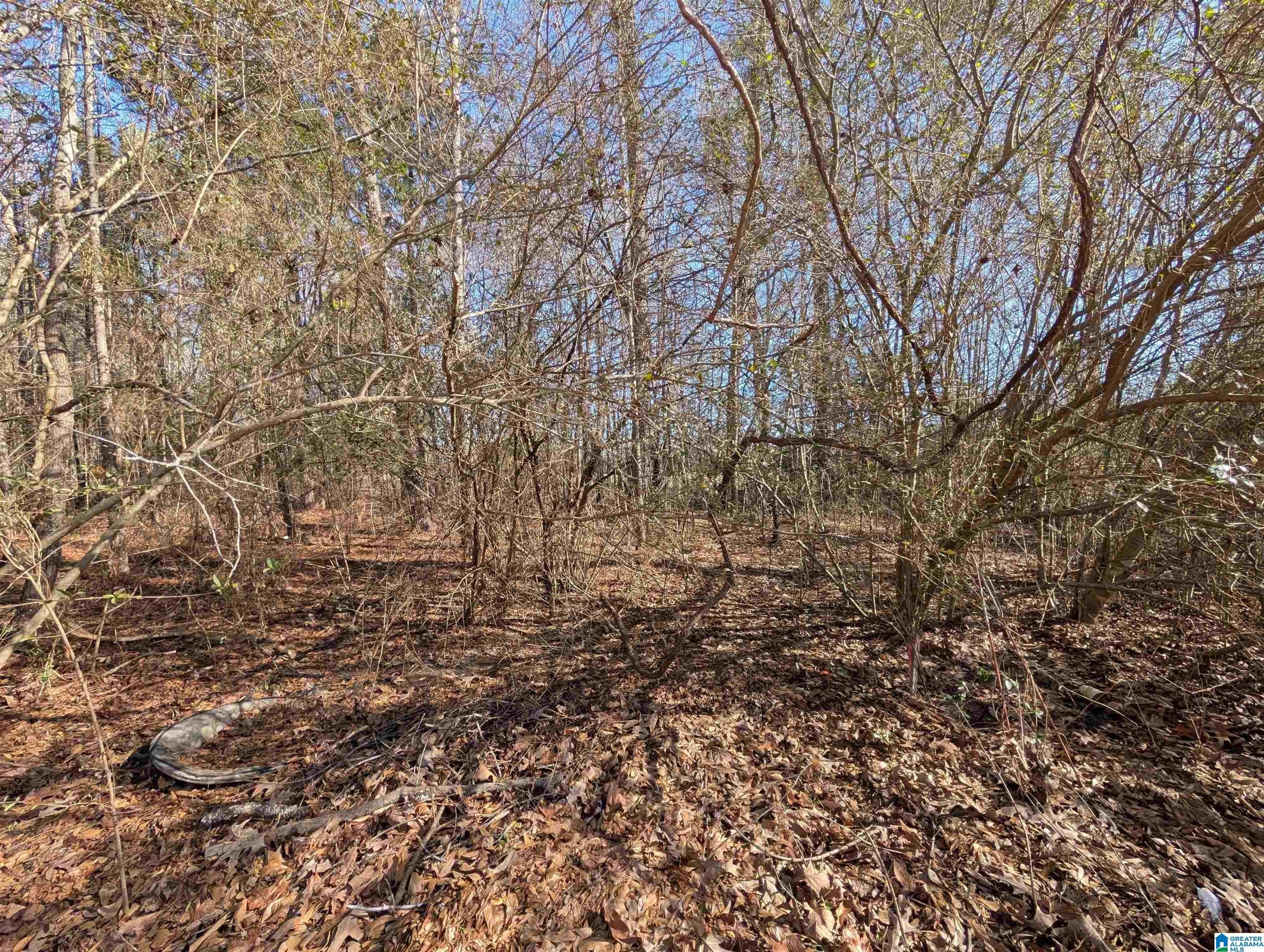 Residential Lot in Windwood Estates