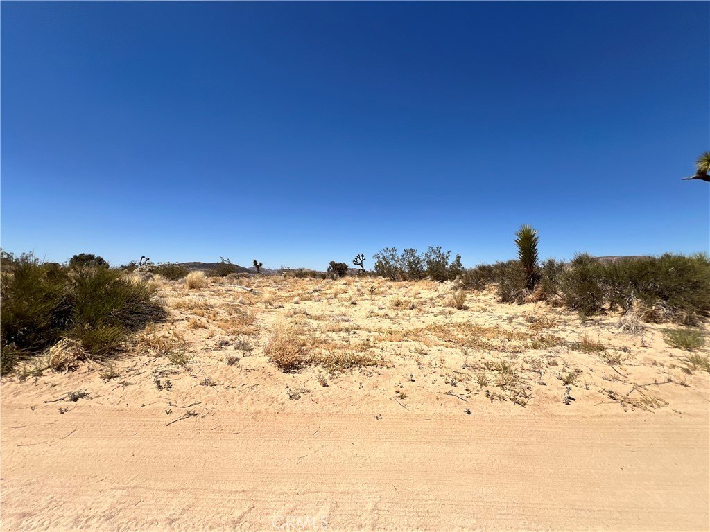 Picture 7