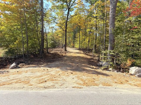 Wooded Residential Development Lot