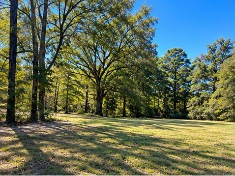 Land, Benton, LA