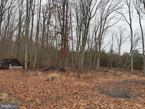 Partially Cleared Commercial Land