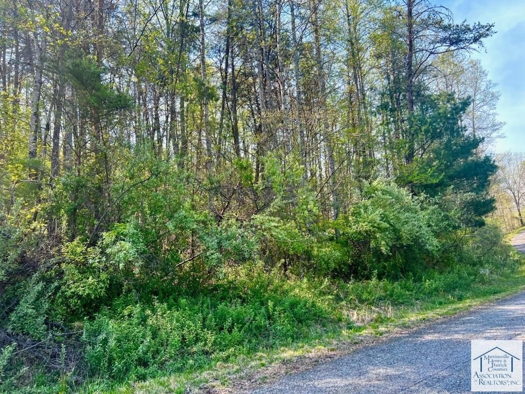 Residential Land in Patrick Springs