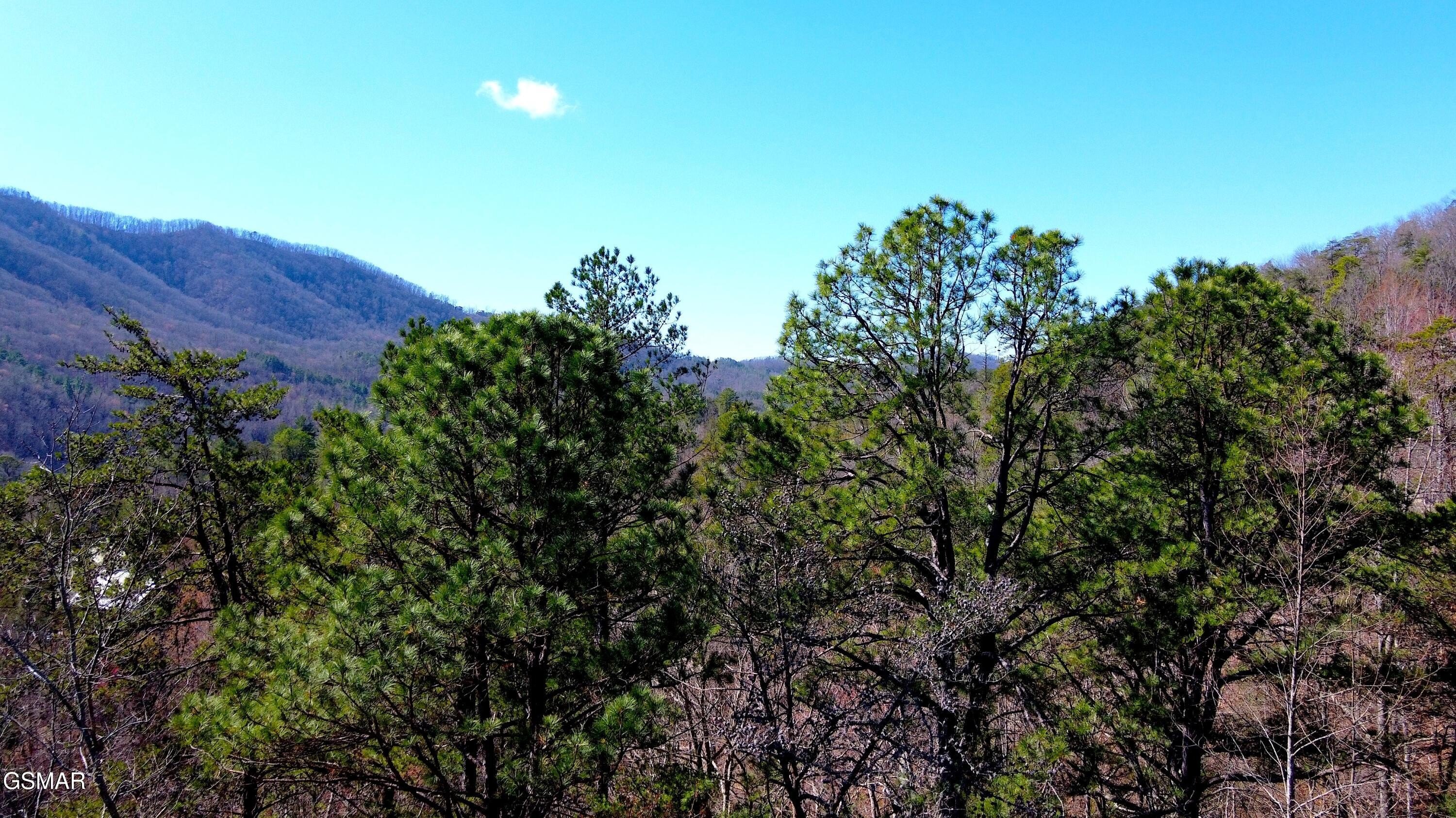 Sevierville Land: 5.22 Acres