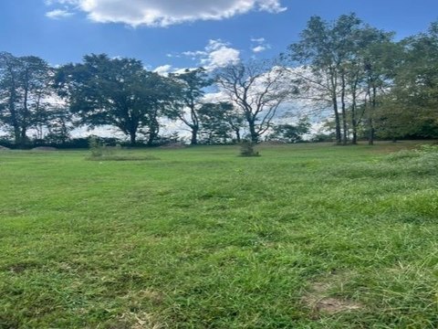 Lots and Land, Scottsville, KY