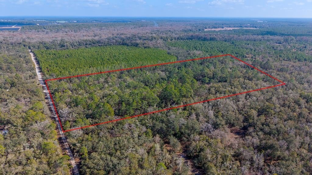 Branford, FL Vacant Land Parcel