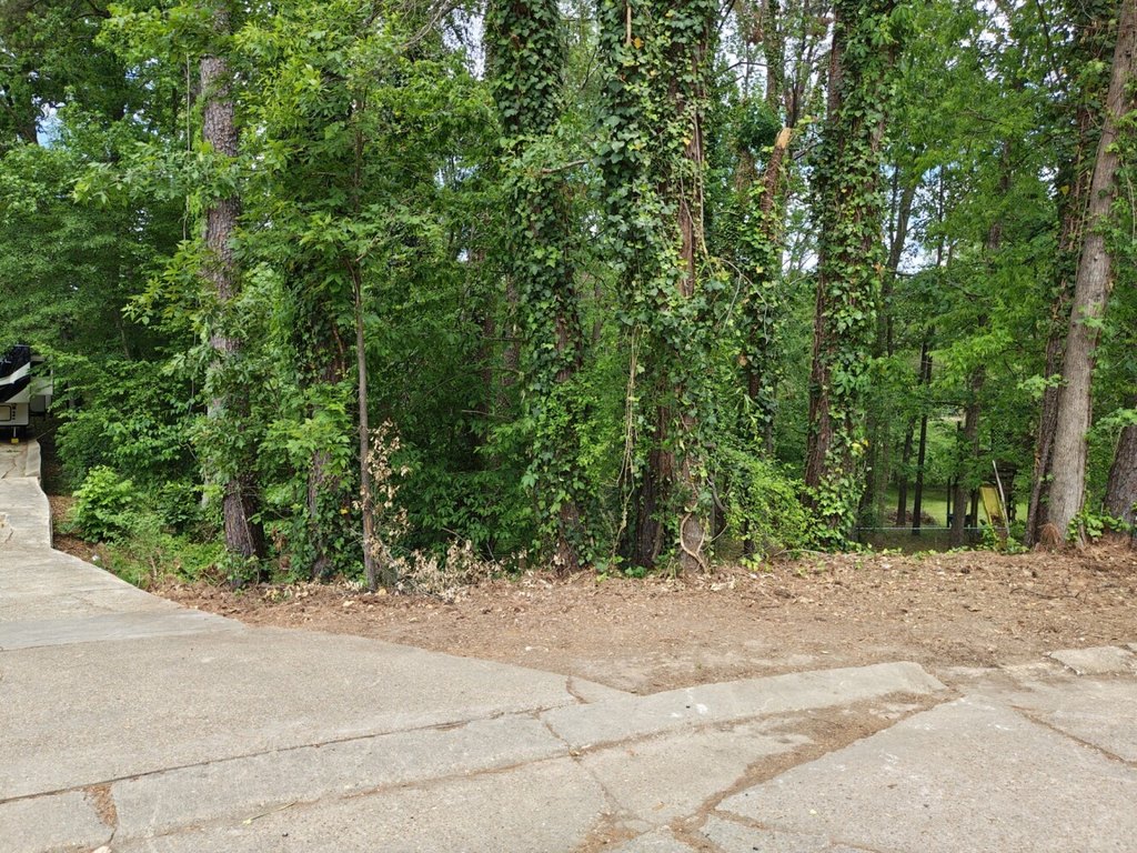 Picture 4