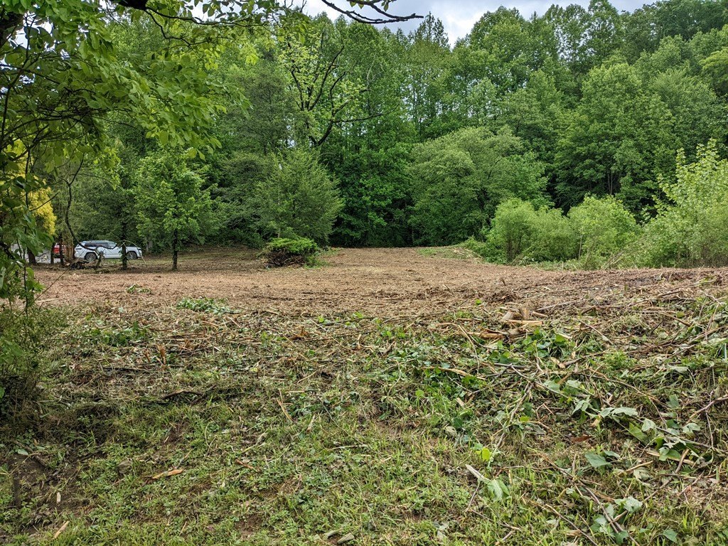 Picture 5