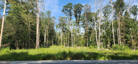 40.7 Acres in La Plata