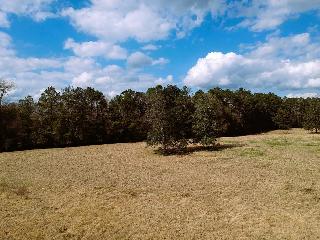 Picture 20