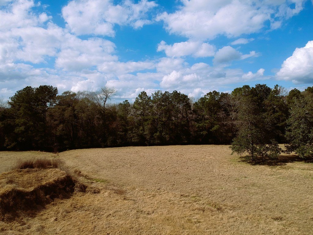 Picture 22
