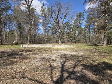 Wooded Land Parcel in Grayling
