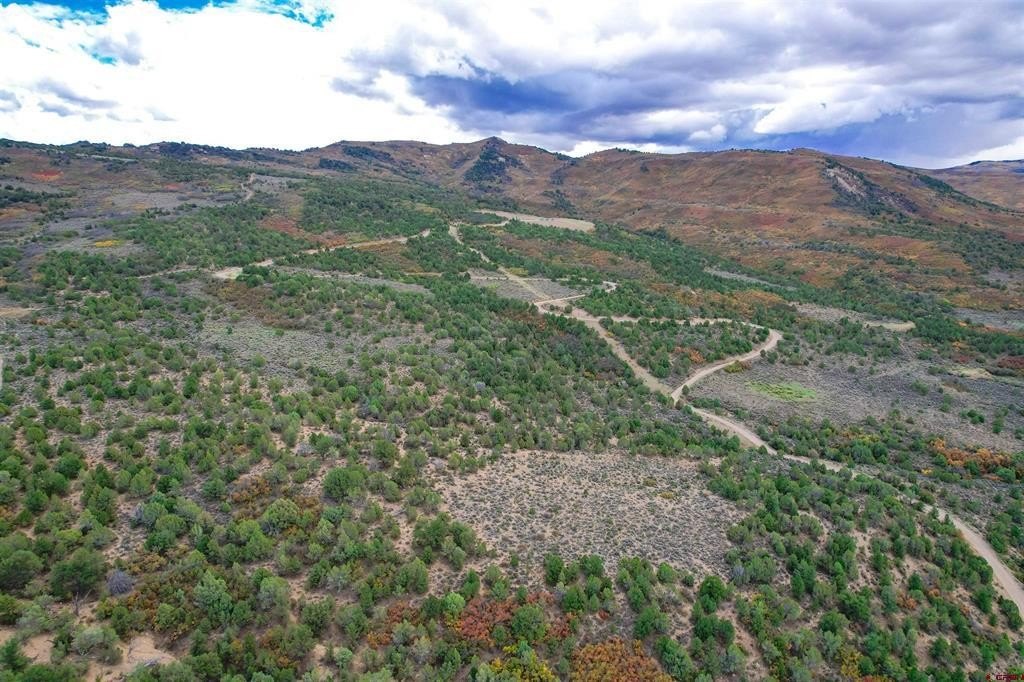 646 Acres of Land, Silt