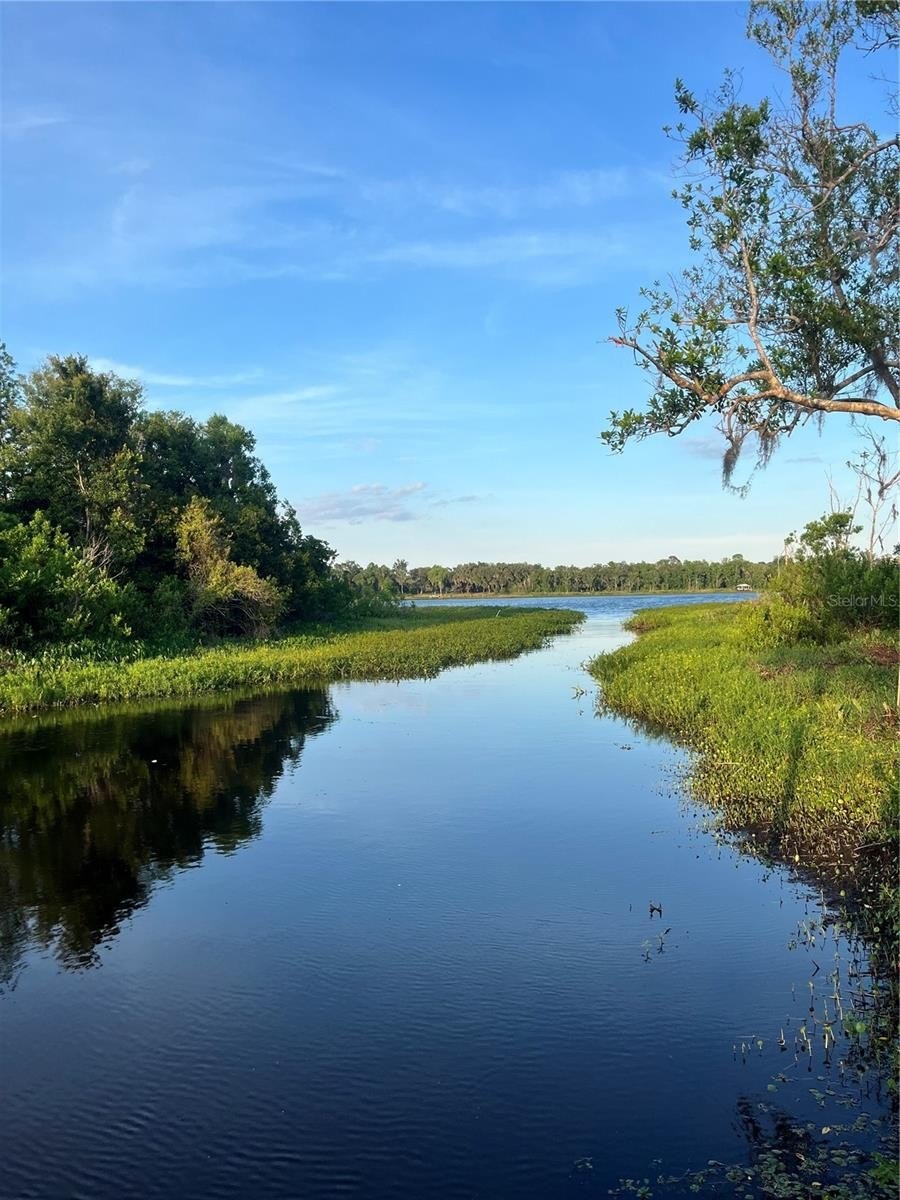 Buildable Lot Near Four Lakes