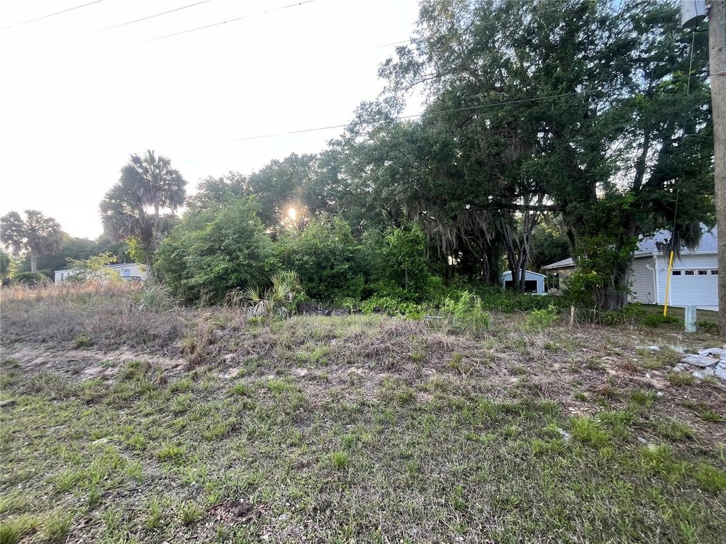 Picture 10