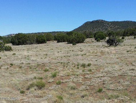 Concho, AZ Acreage for Sale