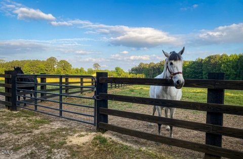Equestrian-Ready 3-Acre Parcel