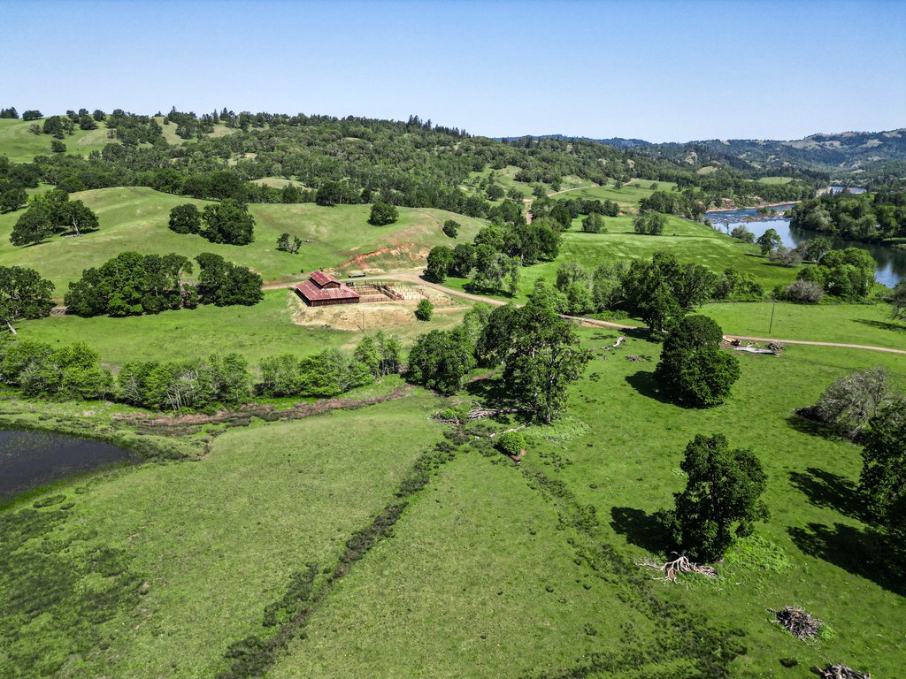 Picture 29