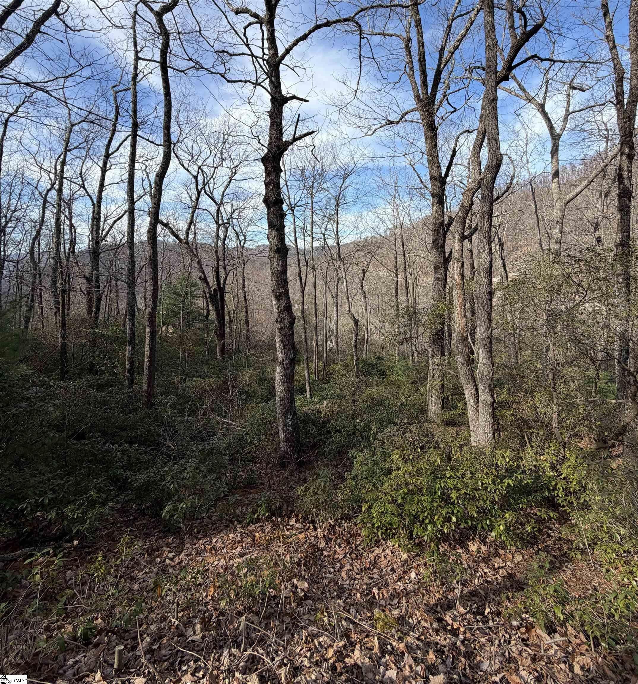 Mountain View Homesite in Cliffs