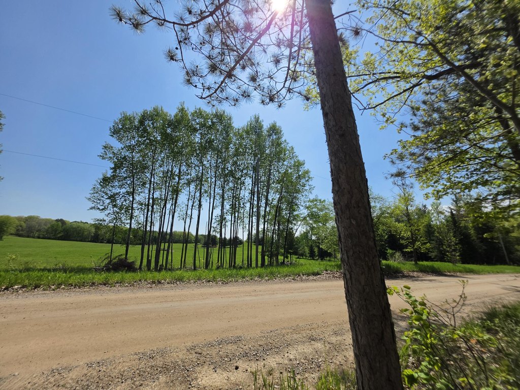 Picture 41