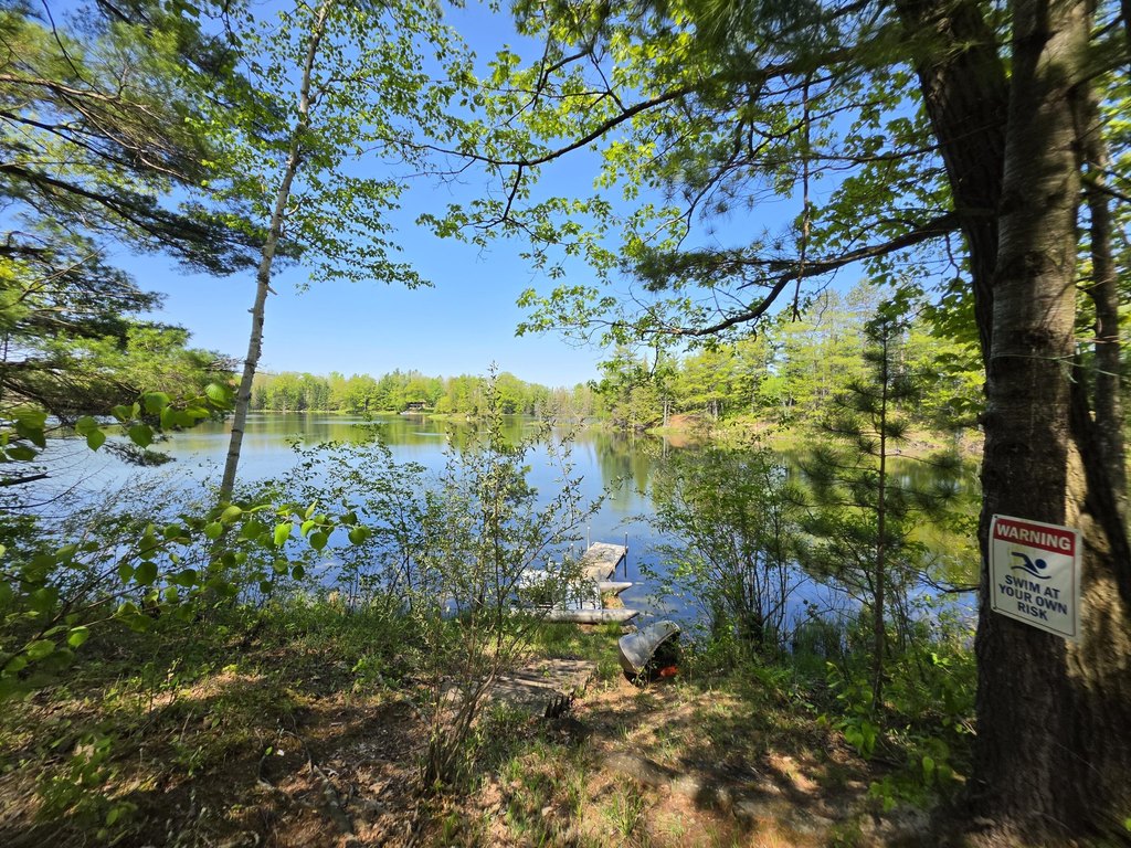 Picture 23
