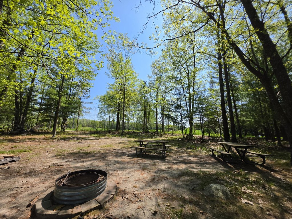 Picture 22