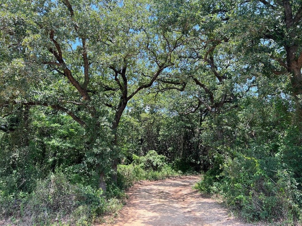 Picture 22