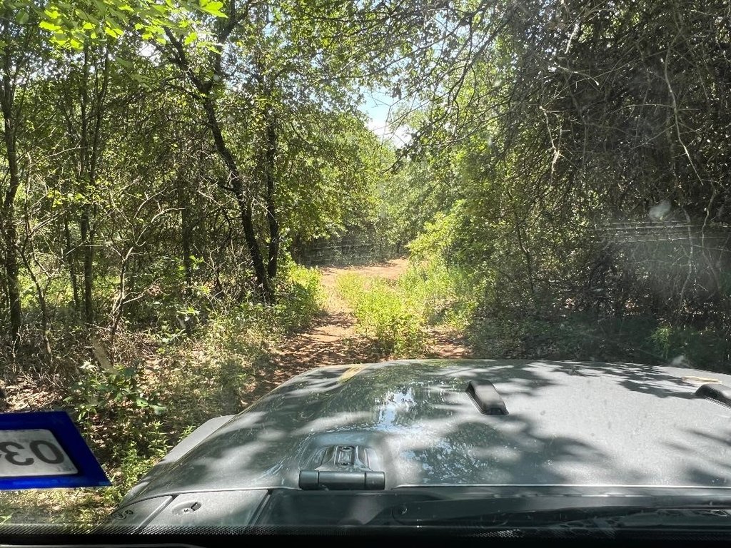 Picture 20