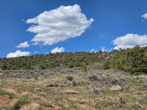Gated Recreational Acreage Lot
