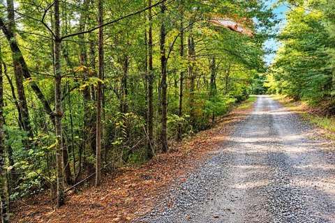 Vacant Lot, Blue Ridge, GA