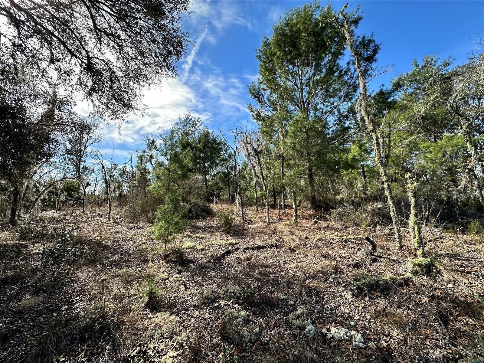 Williston Highlands Golf Club Lot