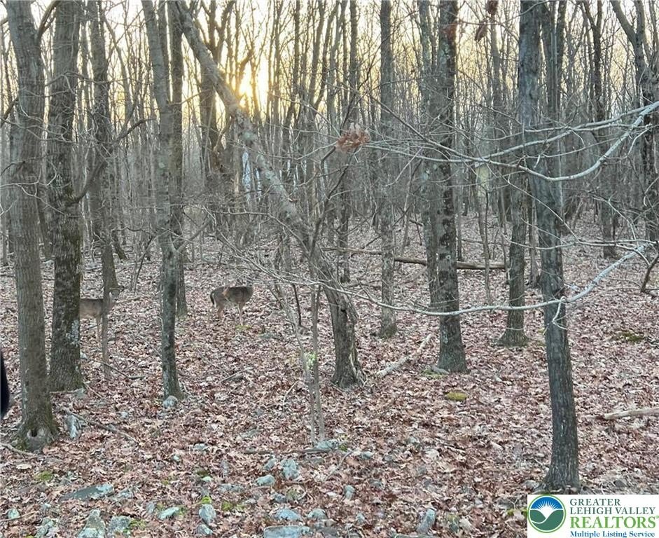 Residential Land in Mt Pocahontas