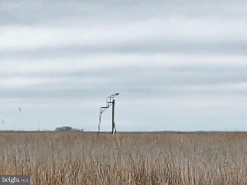 Acreage for Hunting Sika Deer