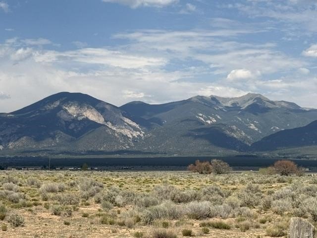 Picture 3