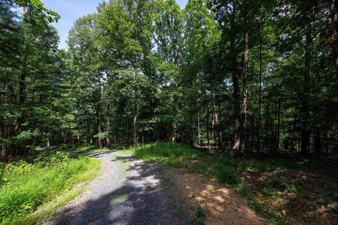 Wooded Lot Near Chimney Rock