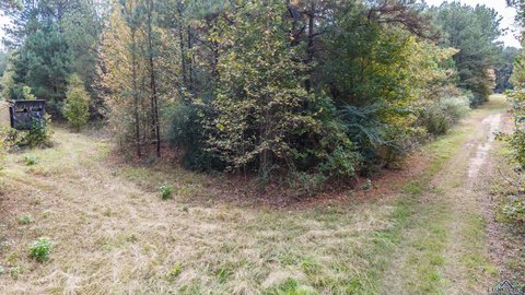 Heavily Wooded Timber Tract