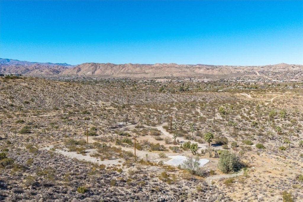 Picture 7