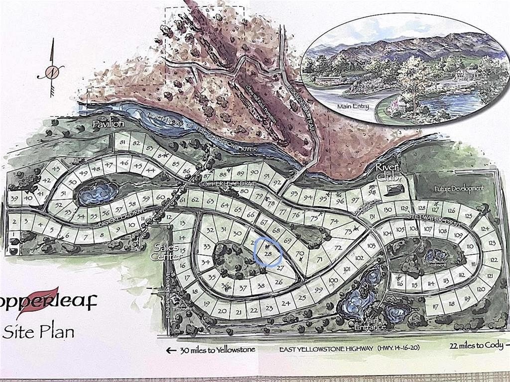 Picture 15