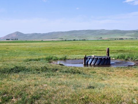Bancroft Land Ideal for Livestock