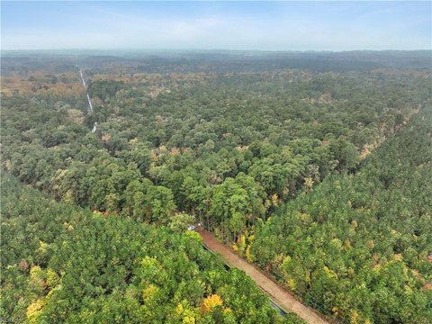 27 Acres Hunting and Building