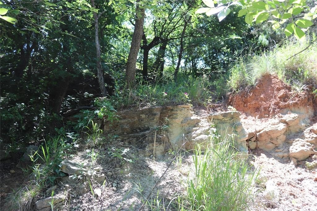 Picture 11