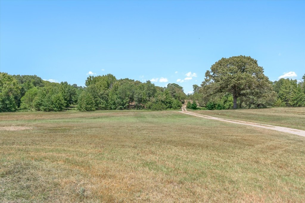 Picture 17