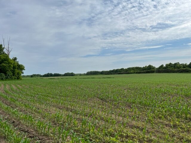 Picture 13