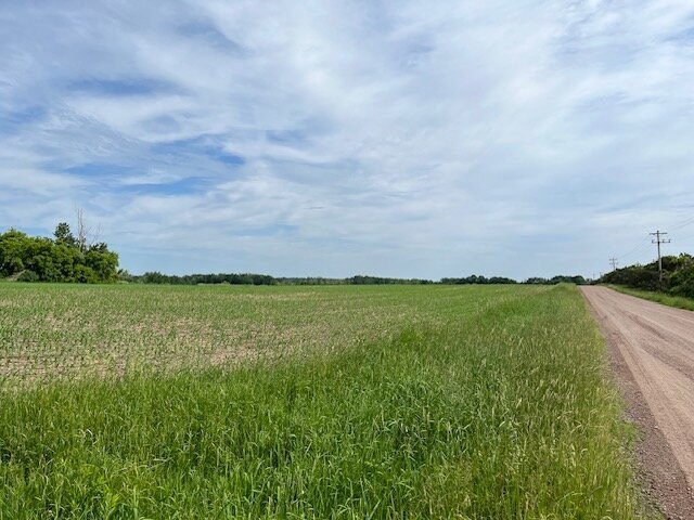 Picture 11