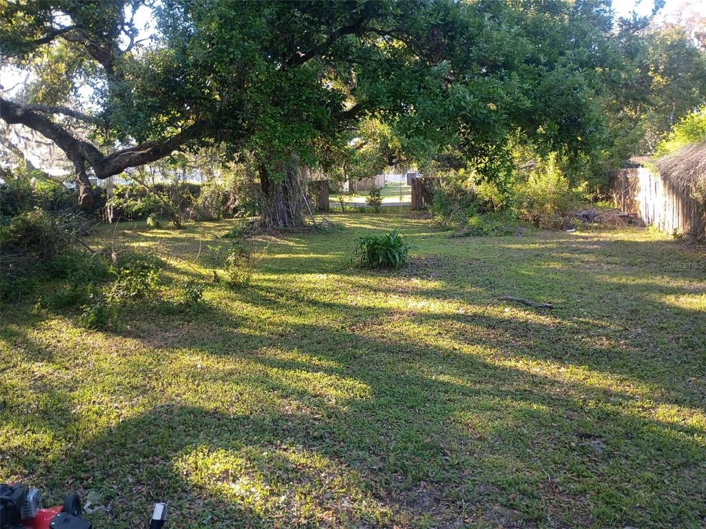 Picture 3