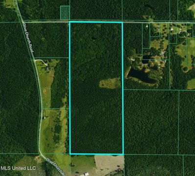 92 Acres Lumberton Homesite Potential