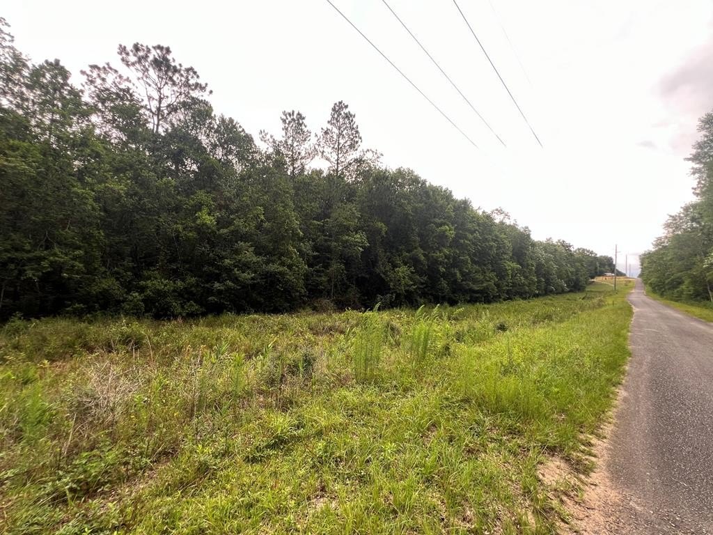 Picture 14