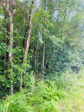 LAND - Lumberton, MS