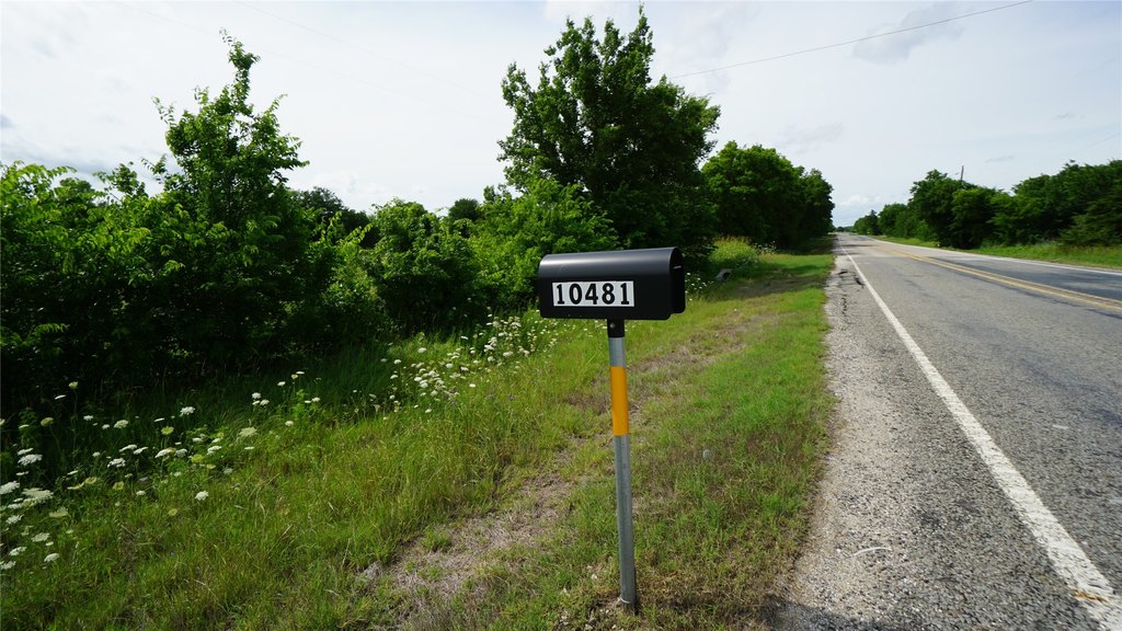 Picture 19
