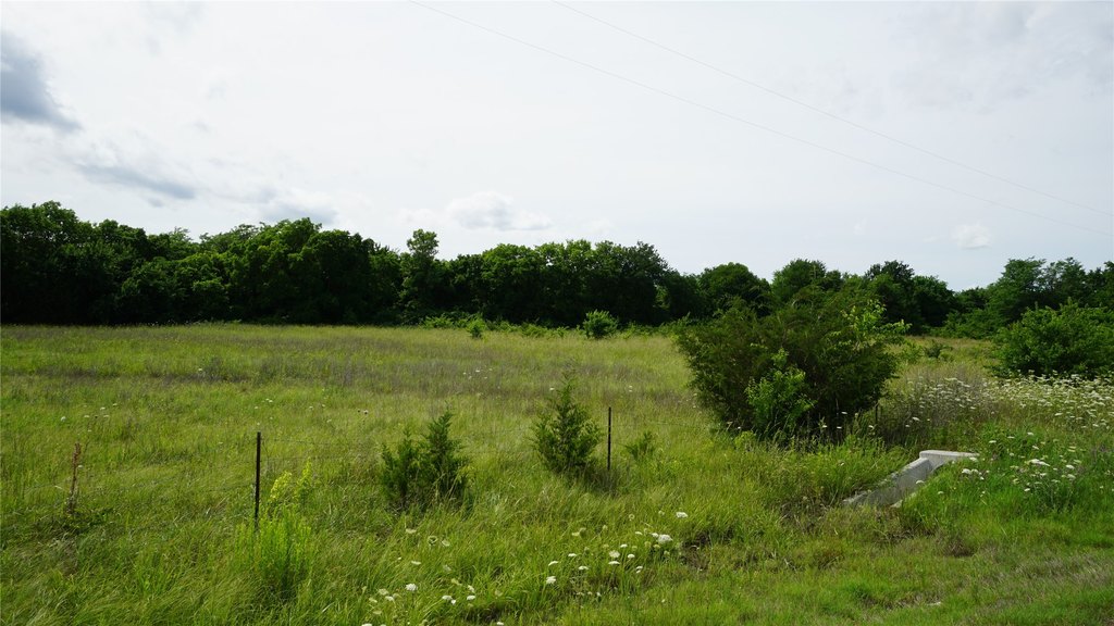 Picture 17